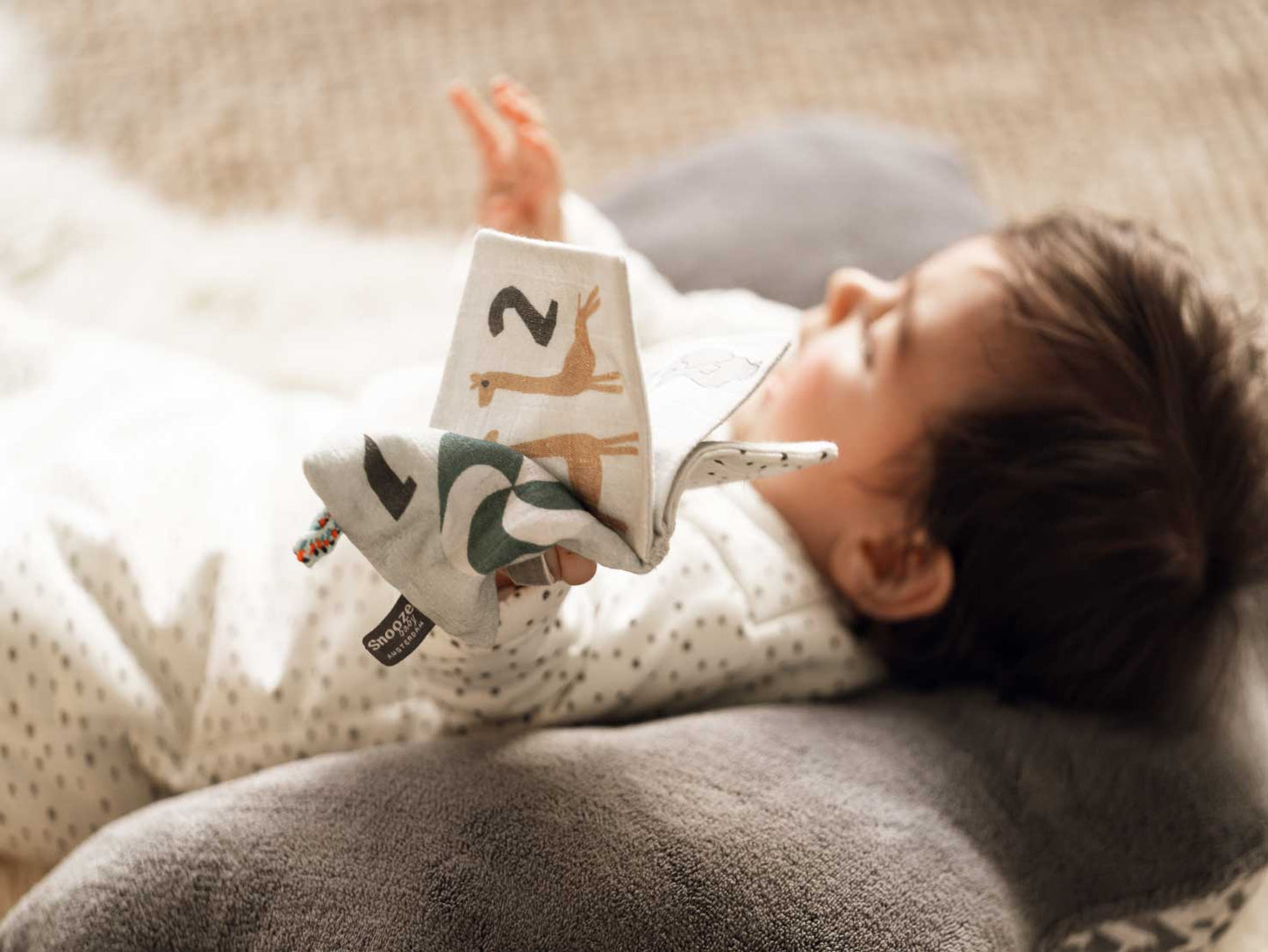 Snoozebaby 數字寶寶布書